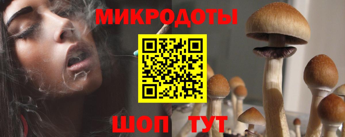 Псилоцибиновые грибы Cubensis  где купить наркоту  Королёв  Вход с VPN 